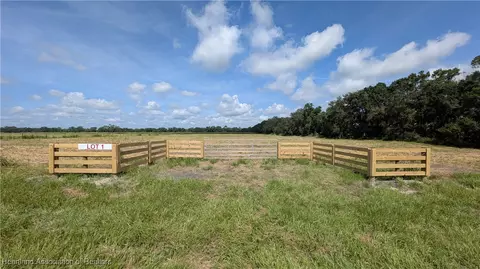 Johnston Road, Zolfo Springs, FL 33890