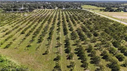 Stenstrom Road, Wauchula, FL 33873 photo 15