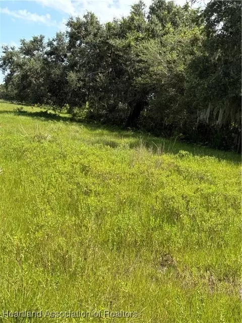 1000 Cattle Ranch Rd, Venus, FL 33960 photo 7