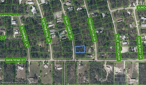 6579 San Bruno Dr, Sebring, FL 33872 photo 22