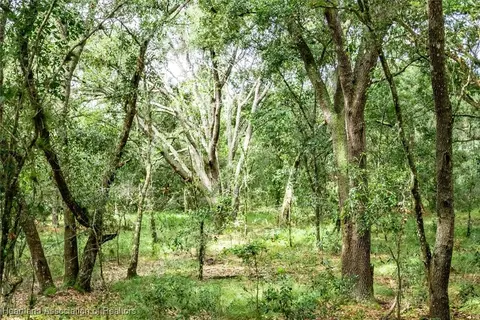 2101 Wolf Ln, Sebring, FL 33875 photo 6