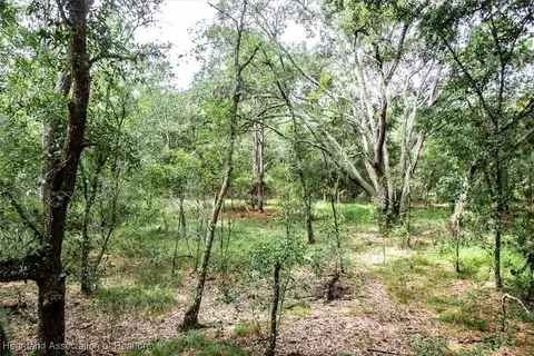 2101 Wolf Ln, Sebring, FL 33875 photo 9