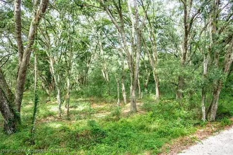 2101 Wolf Ln, Sebring, FL 33875 photo 7