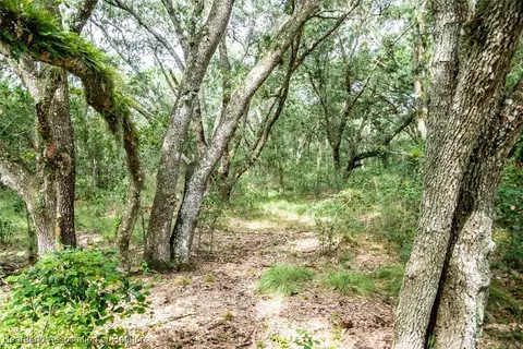2101 Wolf Ln, Sebring, FL 33875 photo 5