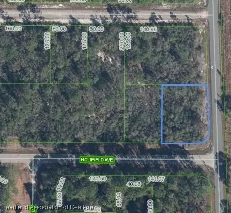 3101 Holifield Ave, Lake Placid, FL 33852
