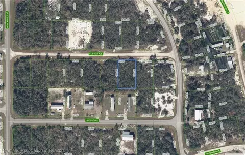 445 Ecstasy Ave, Lake Placid, FL 33852
