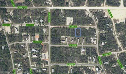 441 Ecstasy Ave, Lake Placid, FL 33852