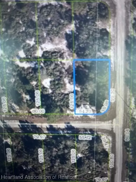 101 Hansen Ave, Lake Placid, FL 33852