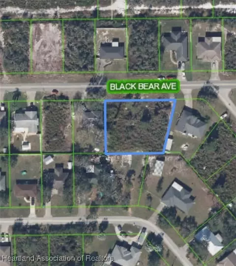 1516 Black Bear Ave, Lake Placid, FL 33852
