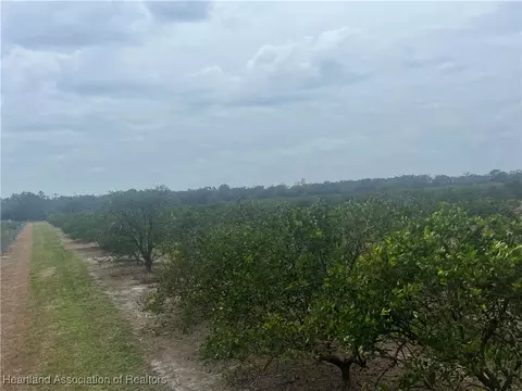 3115 NW Round House Dr, Arcadia, FL 34266