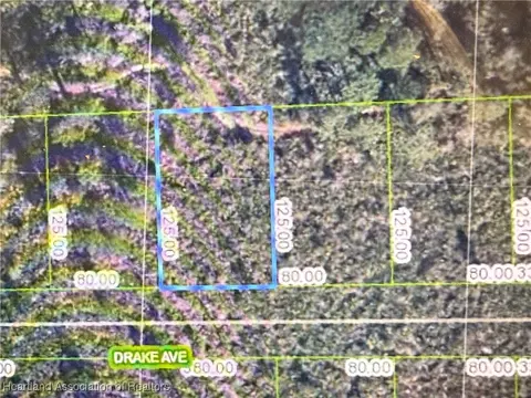 3324 Drake Ave, Sebring, FL 33852