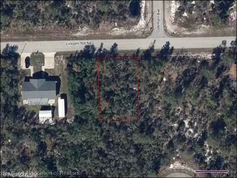 289 Lincoln Rd NE, Lake Placid, FL 33852