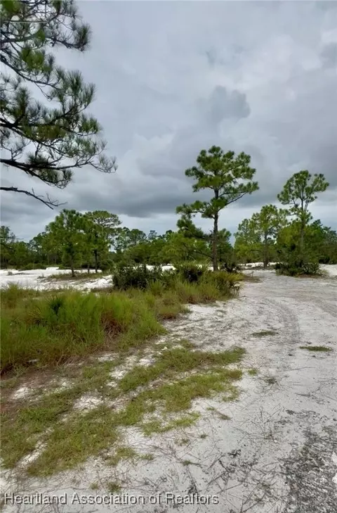 1227 Southern Pine St, Lake Placid, FL 33852