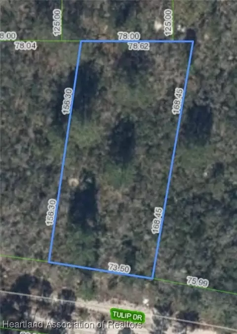 286 Tulip Dr, Lake Placid, FL 33852