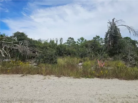 123 Patton Ave, Lake Placid, FL 33852