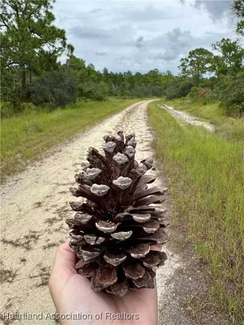 825 Neale St, Lake Placid, FL 33852