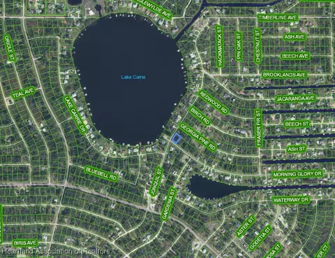 3067 Morning Glory Dr, Lake Placid, FL 33852