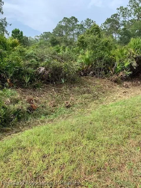 1420 Errol St, Lake Placid, FL 33852