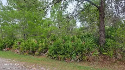 3217 Savannah Sparrow Ave, Lake Placid, FL 33852