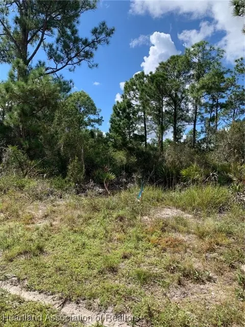 1148 Wildflower St, Lake Placid, FL 33852