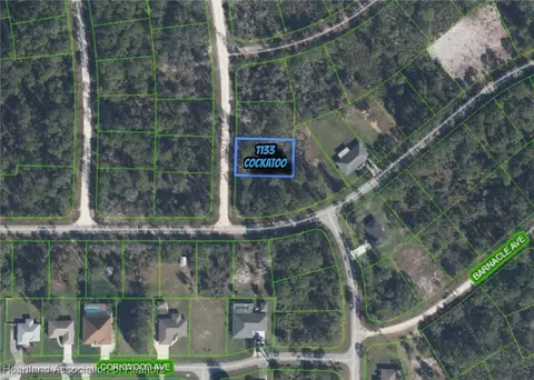 1133 Cockatoo Ave, Lake Placid, FL 33852