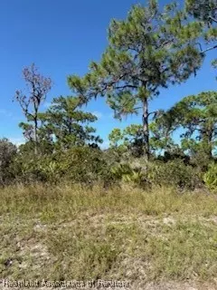 2032 Washington Blvd NW, Lake Placid, FL 33852