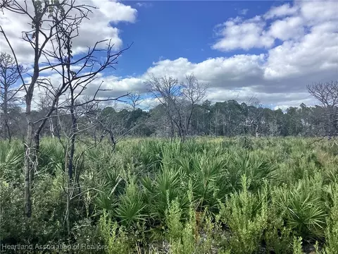 3521 Santona Ave, Lake Placid, FL 33852