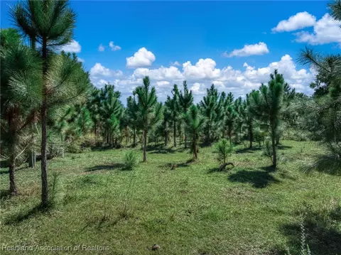 2232 Gem Stone Ave, Lorida, FL 33857 photo 4