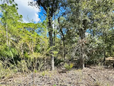 6317 Banyan Pl E, Sebring, FL 33875 photo 3