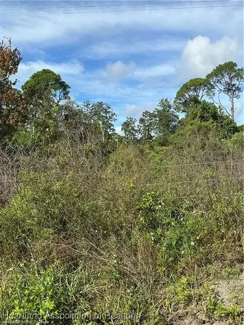 603 Daytona Ave, Lake Placid, FL 33852
