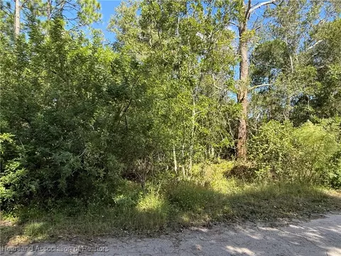 6136 Fig Rd, Sebring, FL 33875 photo 4