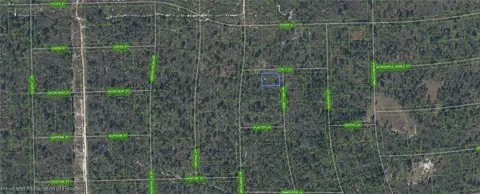 305 Dolly Ln, Lake Placid, FL 33852