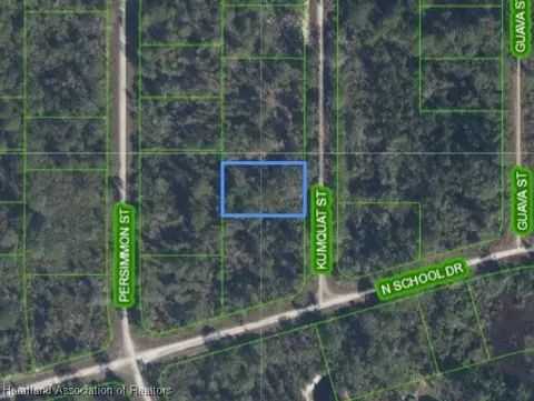 1246 Kumquat St, Lake Placid, FL 33852