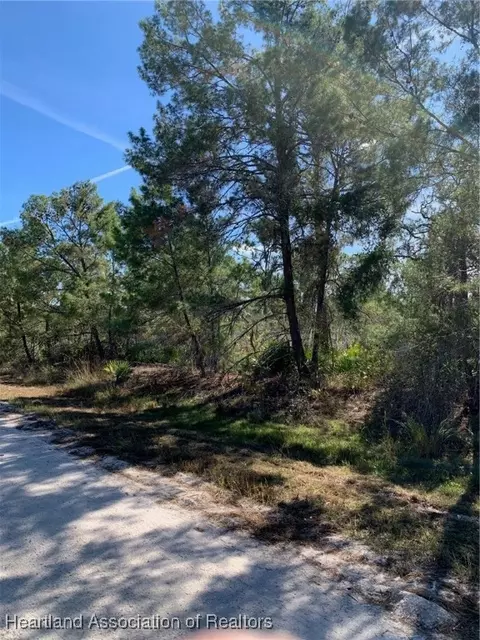 1224 Cockatoo Ave, Lake Placid, FL 33852
