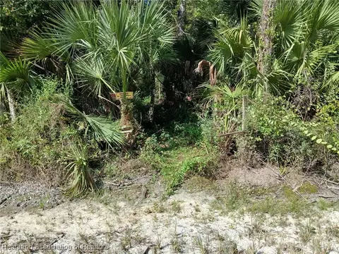 240 Sheppard Rd, Venus, FL 33960 photo 2