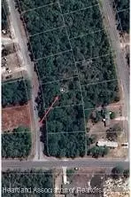 105 Sunflower Dr, Lake Placid, FL 33852