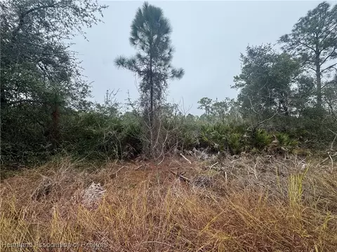 3137 Cedar Grove Ave, Lake Placid, FL 33852