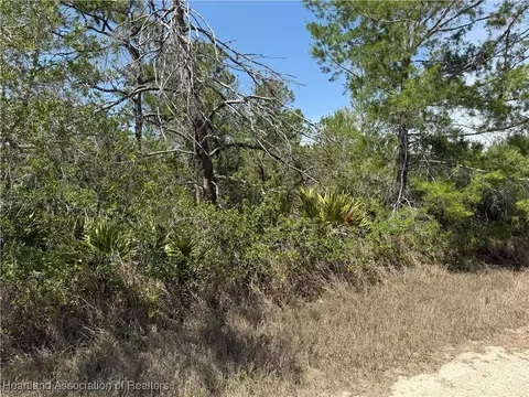 446 Bright Hill Ave, Lake Placid, FL 33852