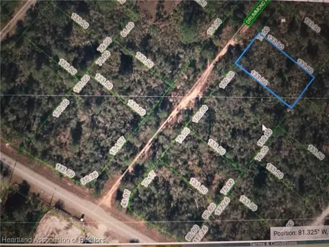117 Drummond Ave, Lake Placid, FL 33852