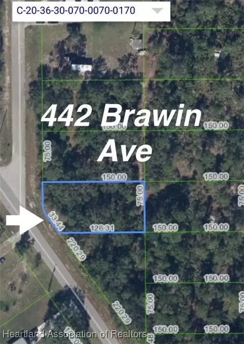 442 Brawin Ave, Lake Placid, FL 33852