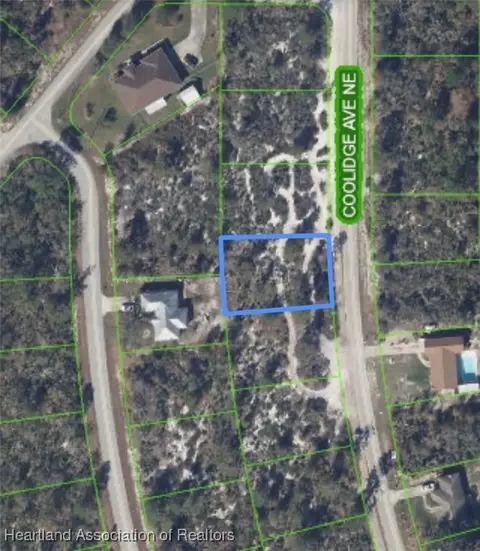 333 Coolidge Ave NE, Lake Placid, FL 33852