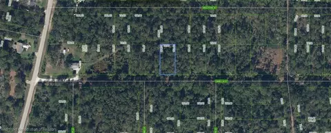 1412 Camellia St, Lake Placid, FL 33852