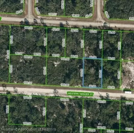 3449 Western Tanager St, Lake Placid, FL 33852