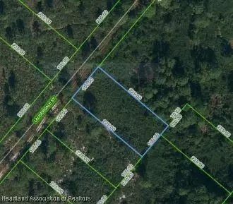 613 Lauderdale St, Lake Placid, FL 33852