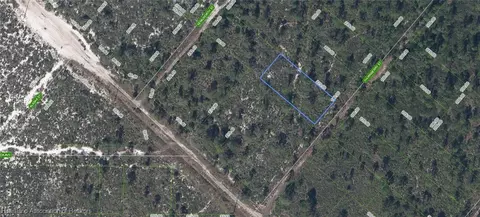 604 Thornberry St, Lake Placid, FL 33852