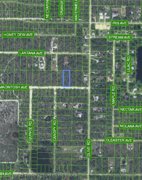 2020 Macintosh Ave, Sebring, FL 33875 photo 2