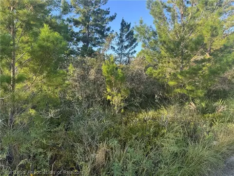 1873 Washington Blvd NW, Lake Placid, FL 33852