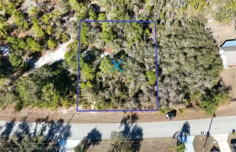3045 Georgia Pine Rd, Lake Placid, FL 33852