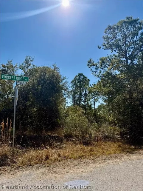 3400 Forrest Ridge Ave, Lake Placid, FL 33852