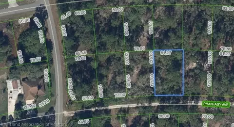 264 Phantasy Ave, Lake Placid, FL 33852